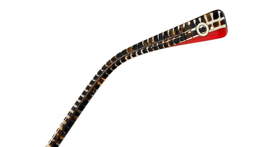 Etnia Barcelona DARWIN Eyeglasses - view 7